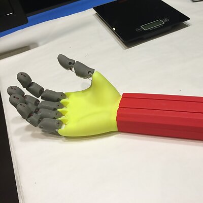 Arduino driven Hand Actuator