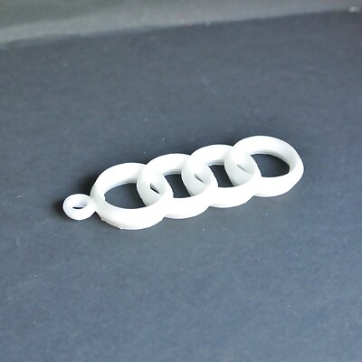 Audi key ring