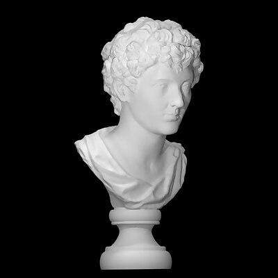 Marcus Aurelius as successor to the throne