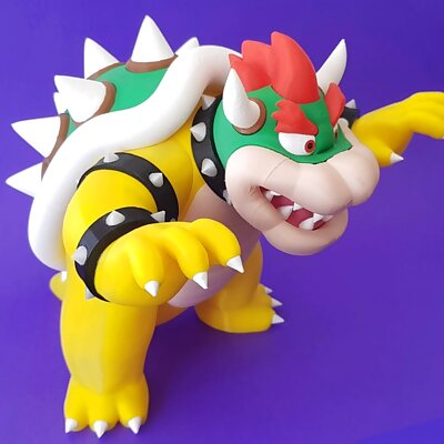 Bowser from Mario games  Multicolor