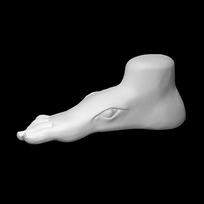 Foot