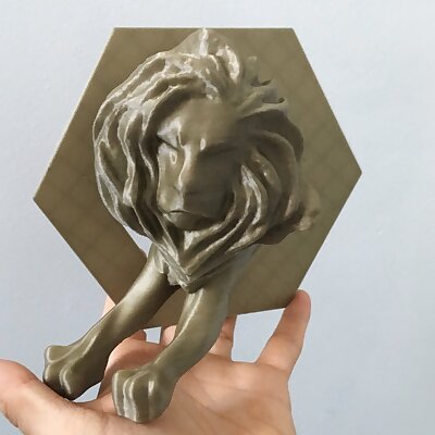 Cannes Lions Award