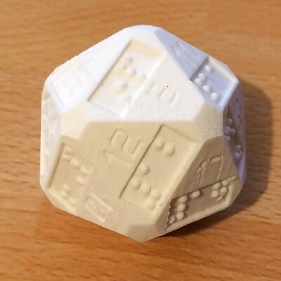 D20 20 sided dice with additional braille numbers