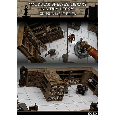 Modular Shelves  Library  Study Decor  28mm Gaming  Sample Items