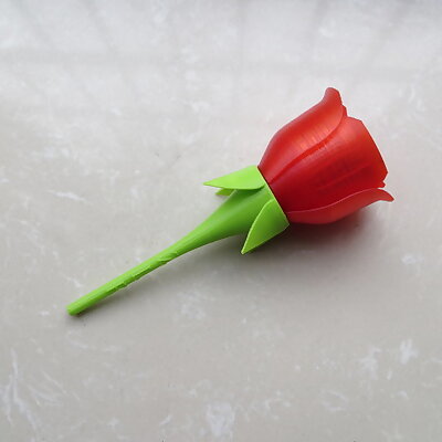 Make a rose for your girl