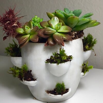 Desktop Flower Pot