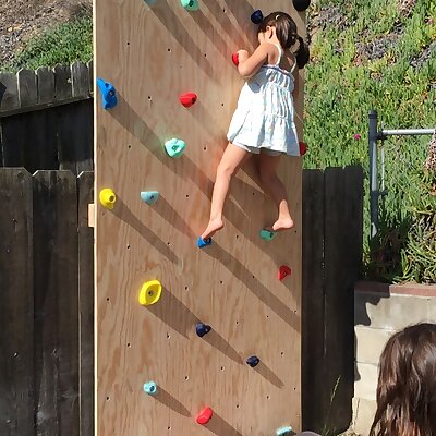 Kid Rock Wall Holds