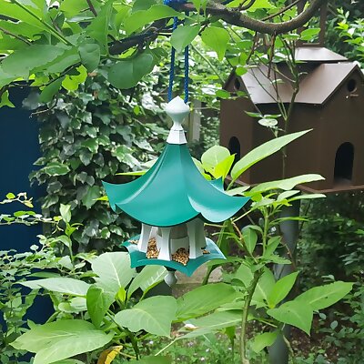 Little Bird Feeder Air Temple