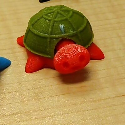 Turtle Bobble Head