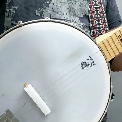 Banjo Mute
