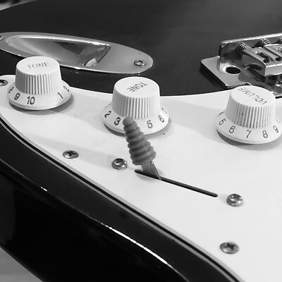 Stratocaster Custom switch