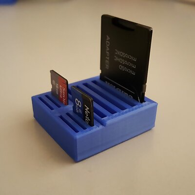 SD  MicroSD holder