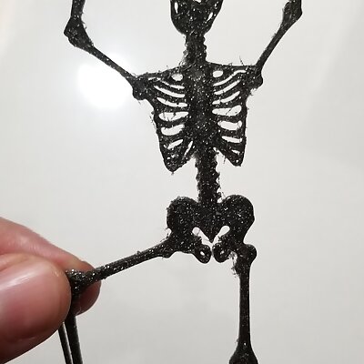 Halloween Skeleton Silhouette