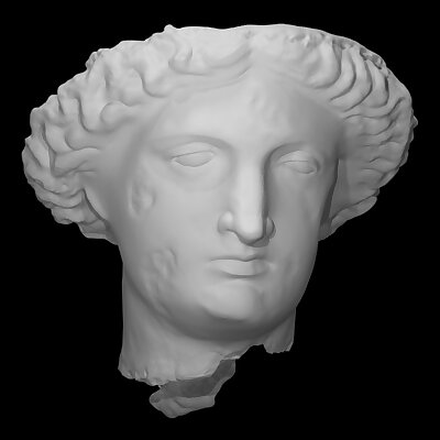 Head of Sulis Minerva
