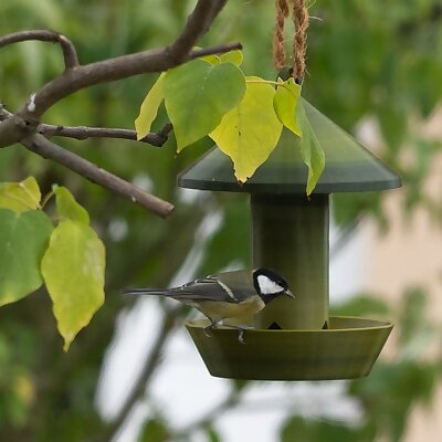 Hanging feeding place for birds food dispenser birdhouse