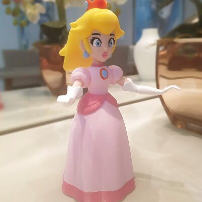Princess Peach from Mario Games  multicolor