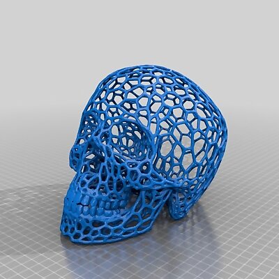 Skull  Voronoi effect