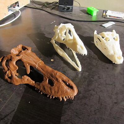 Tarbosaurus skull sliced for printing