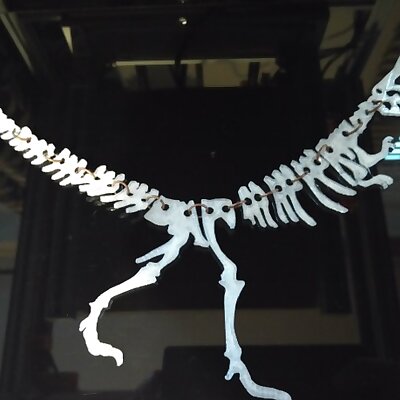 Dinosaur bones necklace