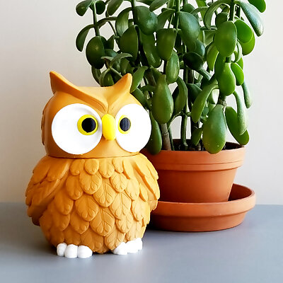 MultiColor Owl Jar