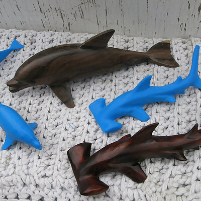Hammerhead Shark and Dolphin