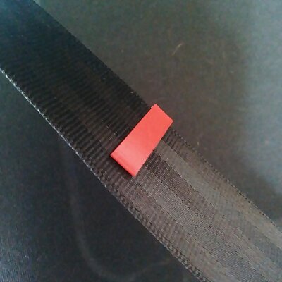 Seatbelt tag