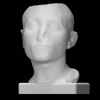 Head of an unknown man