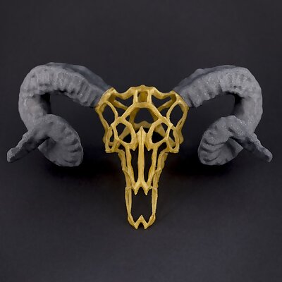 Wired Ram Skull