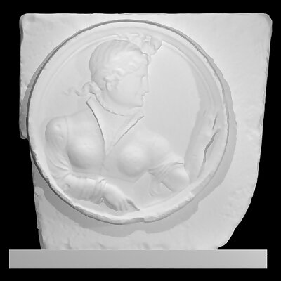Bust of a Woman in a Medallion