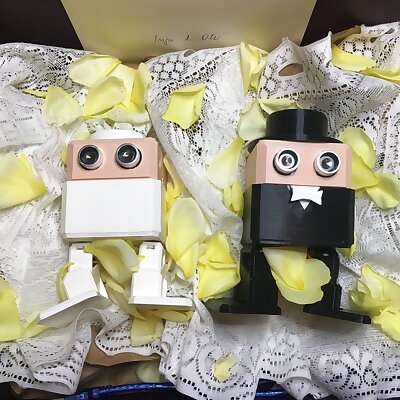 IngaDIY and OlliDIY two 3dprinted robots happylie married