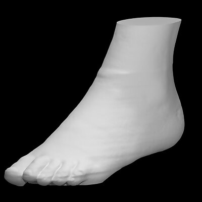 Skin surface of a foot
