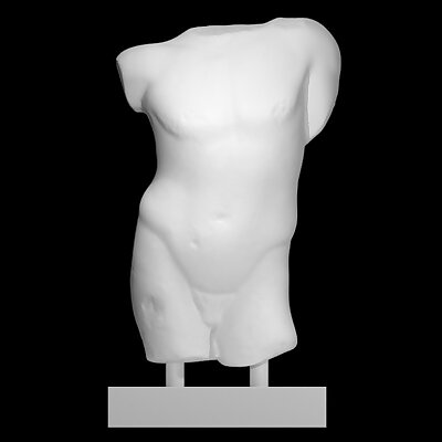 Torso of a Young Male