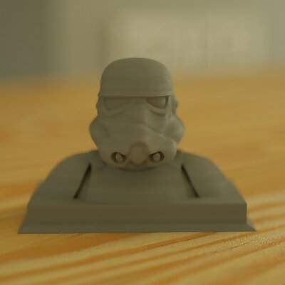 Storm Trooper old bust
