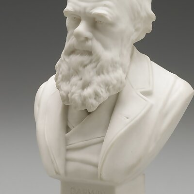 Bust of Charles Darwin c1899