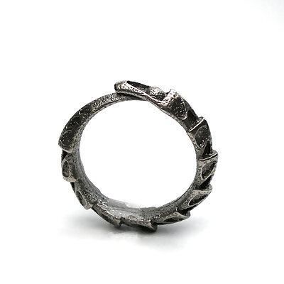 Carapace Ring