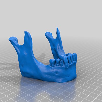 Skull Jaw Phone Tablet Business Card Stand