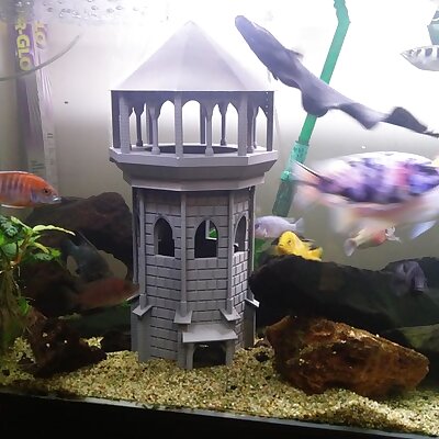 Aquarium Guard Tower