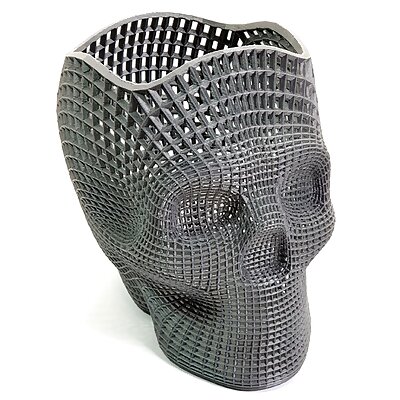 Wireframe Skull  Perfect Edition
