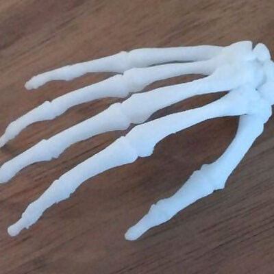BodyParts3D Hand Skeleton