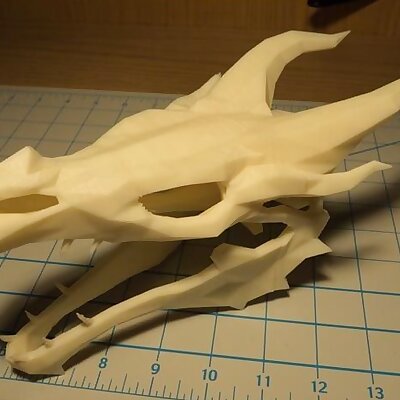 Dragon skull from Skyrim enlarged