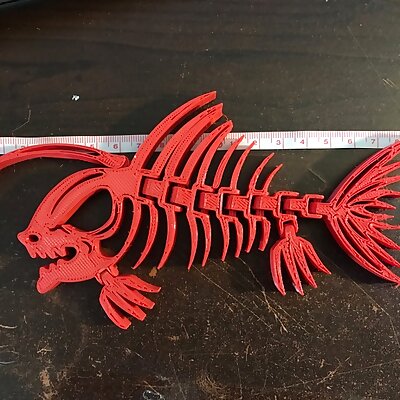Articulated PiranhaAnglerfish Skeleton