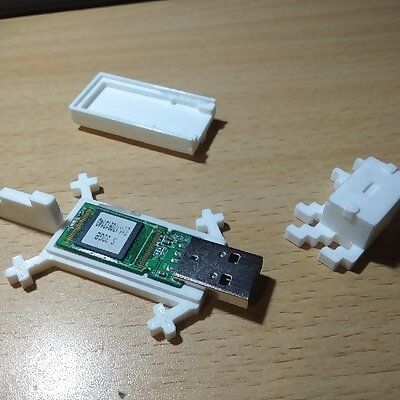 USB Flash Drive Case Axolotl