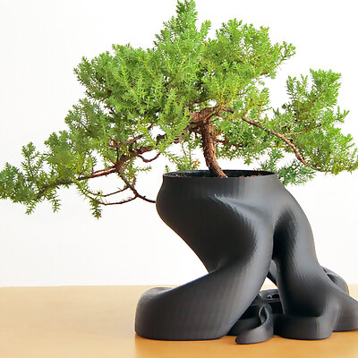 Bonsai Planter New HD Model with over 1100000 Triangles