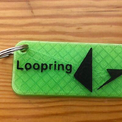 Loopring  LRC  Key chain