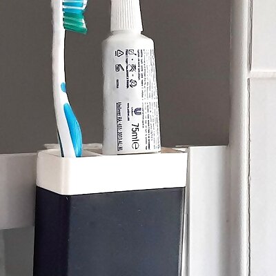 Toothbrush Holder for Shower