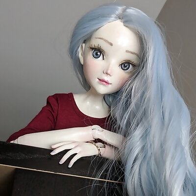 Polaris Double jointed ball jointed doll 13 BJD