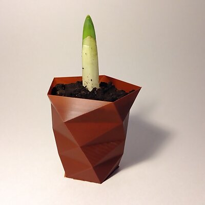 Customizable Twisted Polygon Vase