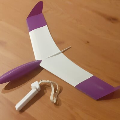 Stinger  free flight glider