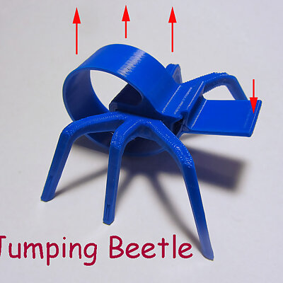 Jumping Beetle