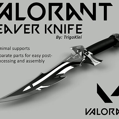 Valorant Reaver Knife